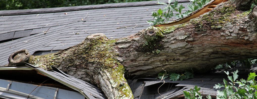 Roof inspection after storm damage